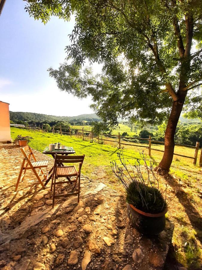 Villa Agrihouse à Bracciano  Extérieur photo