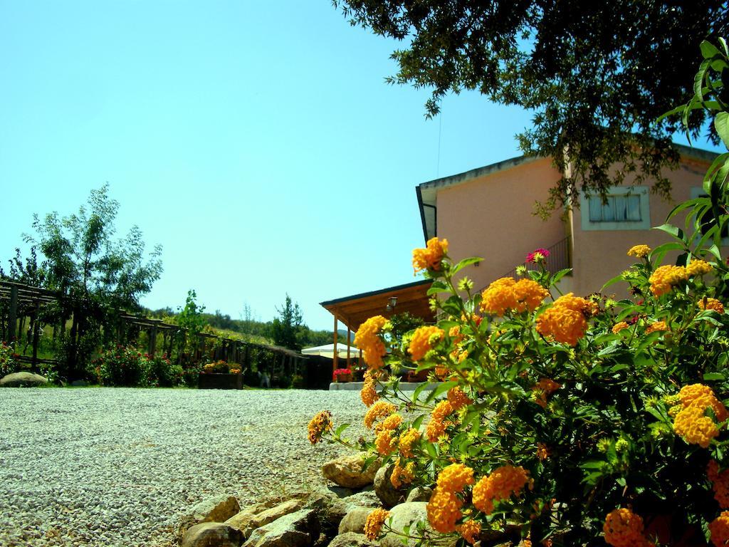 Villa Agrihouse à Bracciano  Extérieur photo